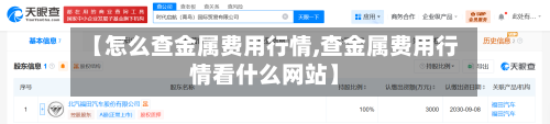 【怎么查金属费用行情,查金属费用行情看什么网站】-第2张图片