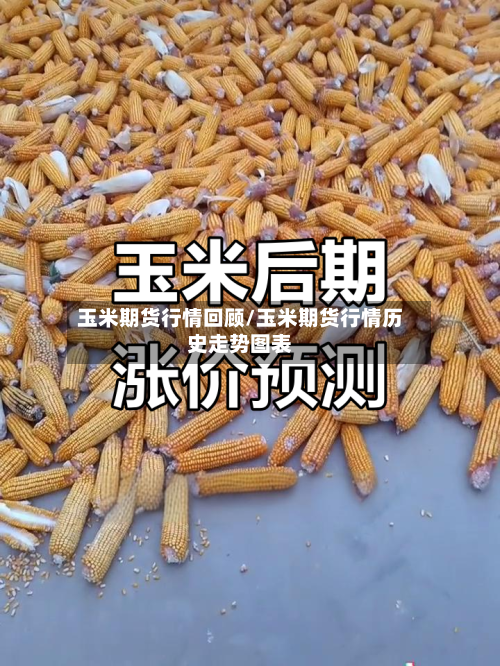 玉米期货行情回顾/玉米期货行情历史走势图表-第3张图片
