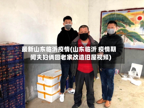 最新山东临沂疫情(山东临沂 疫情期间夫妇俩回老家改造旧屋视频)-第3张图片