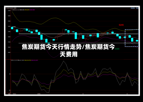 焦炭期货今天行情走势/焦炭期货今天费用