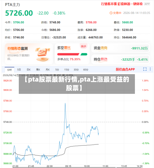 【pta股票最新行情,pta上涨最受益的股票】