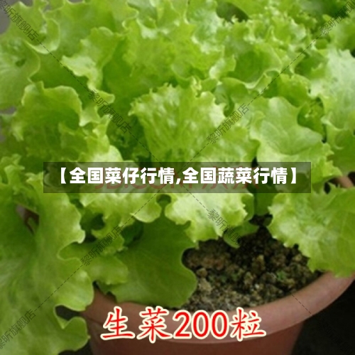 【全国菜仔行情,全国蔬菜行情】-第2张图片