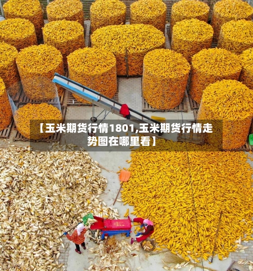 【玉米期货行情1801,玉米期货行情走势图在哪里看】-第2张图片