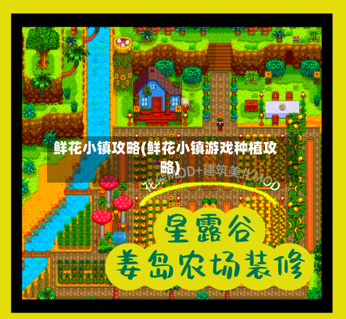 鲜花小镇攻略(鲜花小镇游戏种植攻略)