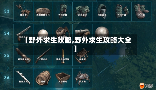 【野外求生攻略,野外求生攻略大全】