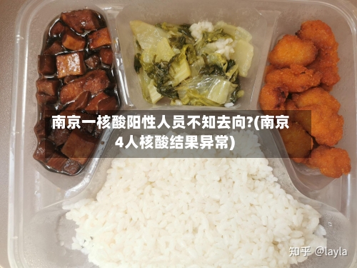 南京一核酸阳性人员不知去向?(南京4人核酸结果异常)