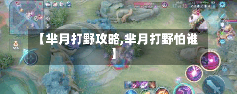 【芈月打野攻略,芈月打野怕谁】