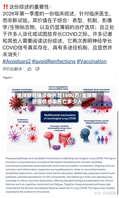 全球新冠确诊病例超1500万/全球新冠疫情感染死亡多少人-第2张图片