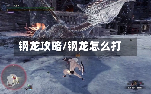 钢龙攻略/钢龙怎么打