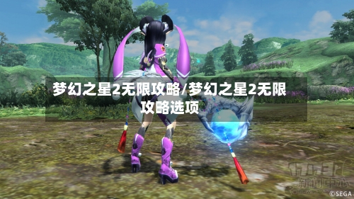 梦幻之星2无限攻略/梦幻之星2无限攻略选项