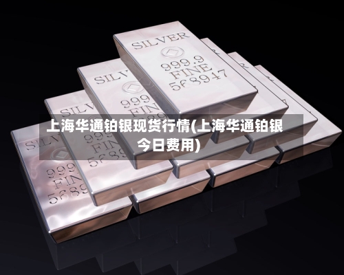 上海华通铂银现货行情(上海华通铂银今日费用)-第2张图片