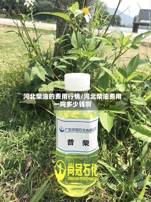 河北柴油的费用行情/河北柴油费用一吨多少钱啊-第2张图片