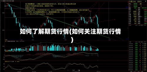 如何了解期货行情(如何关注期货行情)
