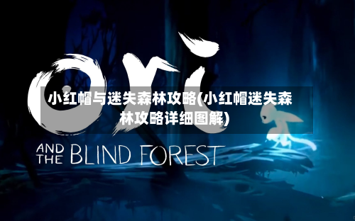 小红帽与迷失森林攻略(小红帽迷失森林攻略详细图解)-第2张图片