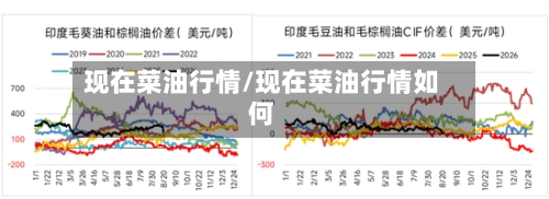 现在菜油行情/现在菜油行情如何-第3张图片
