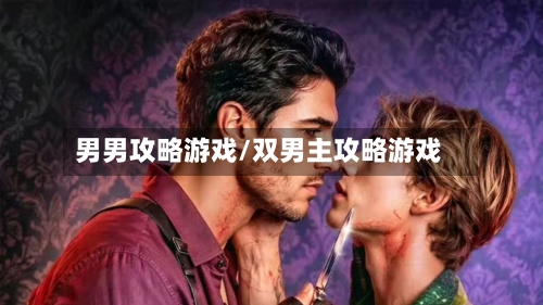 男男攻略游戏/双男主攻略游戏
