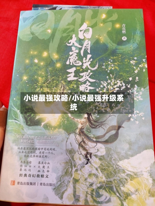 小说最强攻略/小说最强升级系统