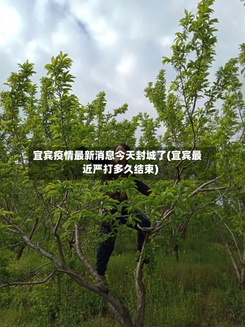 宜宾疫情最新消息今天封城了(宜宾最近严打多久结束)-第2张图片