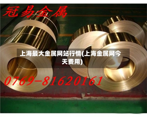 上海最大金属网站行情(上海金属网今天费用)