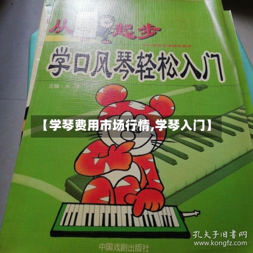 【学琴费用市场行情,学琴入门】