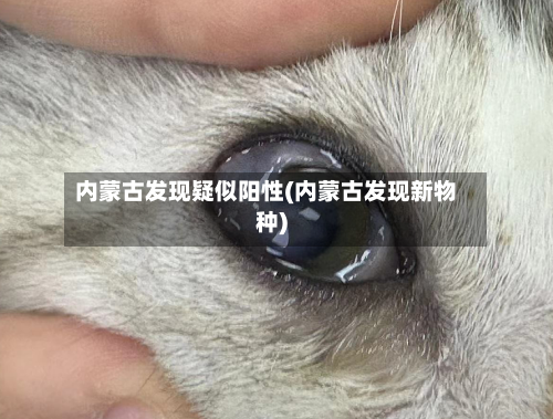 内蒙古发现疑似阳性(内蒙古发现新物种)