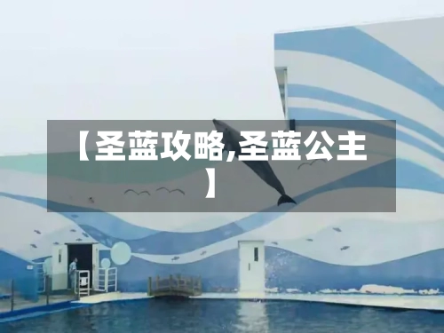 【圣蓝攻略,圣蓝公主】-第3张图片