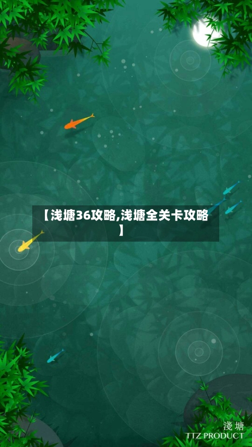 【浅塘36攻略,浅塘全关卡攻略】