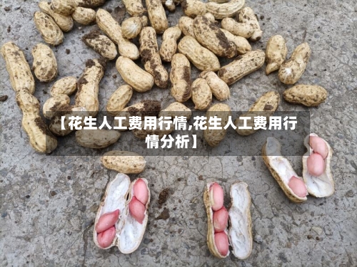 【花生人工费用行情,花生人工费用行情分析】