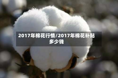2017年棉花行情/2017年棉花补贴多少钱