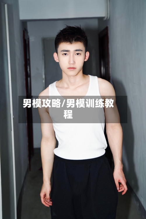 男模攻略/男模训练教程