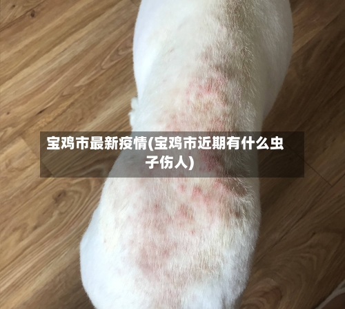 宝鸡市最新疫情(宝鸡市近期有什么虫子伤人)