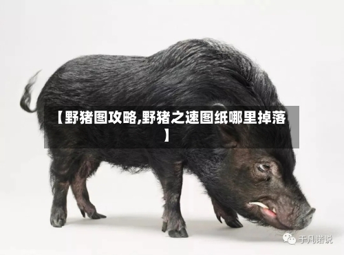 【野猪图攻略,野猪之速图纸哪里掉落】