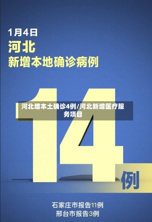 河北增本土确诊4例/河北新增医疗服务项目