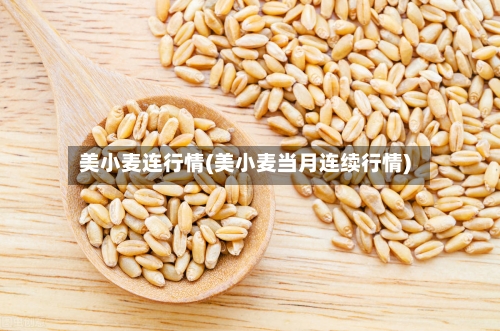 美小麦连行情(美小麦当月连续行情)