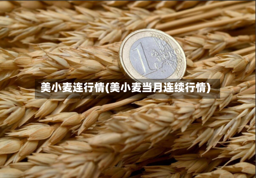 美小麦连行情(美小麦当月连续行情)-第2张图片