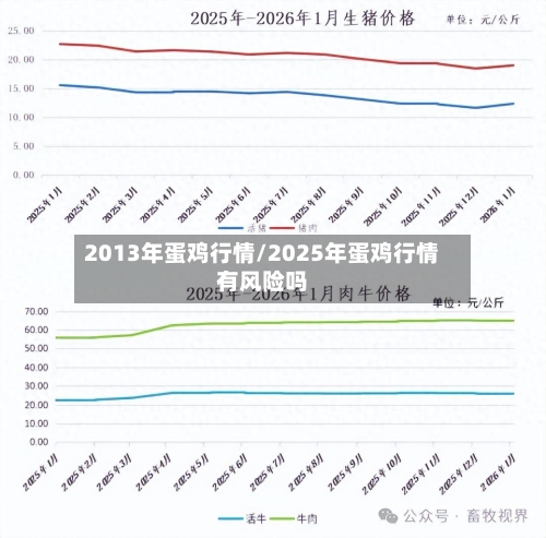 2013年蛋鸡行情/2025年蛋鸡行情有风险吗