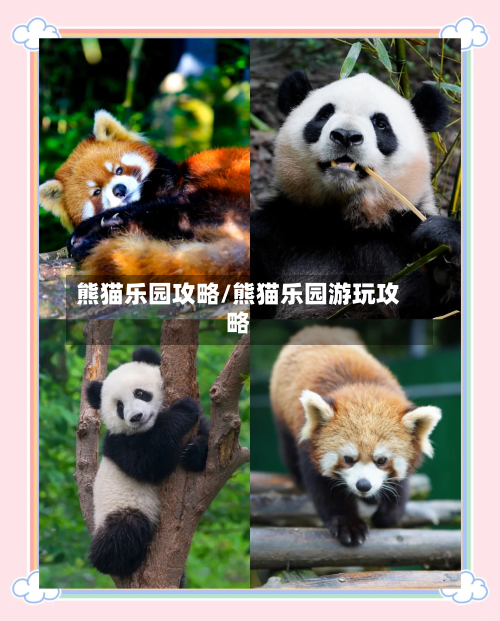 熊猫乐园攻略/熊猫乐园游玩攻略-第2张图片