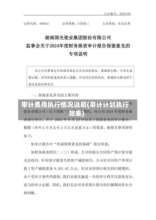 审计费用执行情况说明(审计计划执行效果)-第3张图片