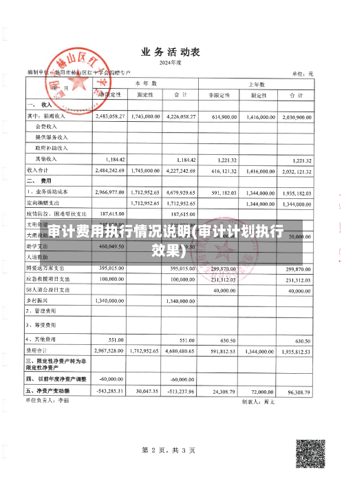 审计费用执行情况说明(审计计划执行效果)-第2张图片