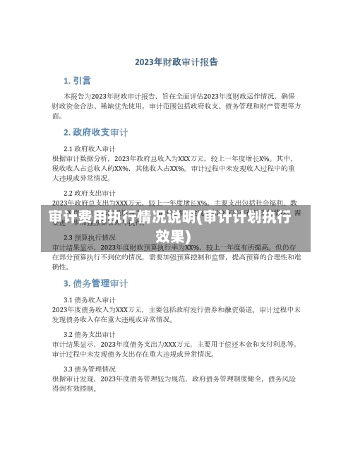 审计费用执行情况说明(审计计划执行效果)