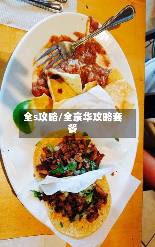 全s攻略/全豪华攻略套餐