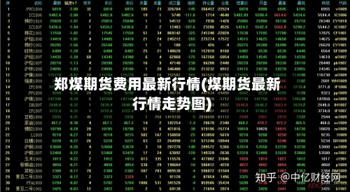 郑煤期货费用最新行情(煤期货最新行情走势图)
