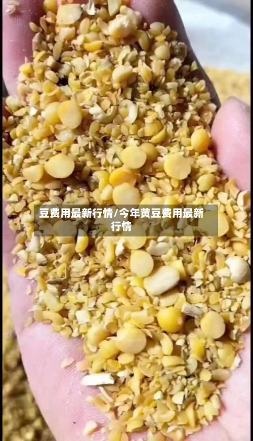 豆费用最新行情/今年黄豆费用最新行情