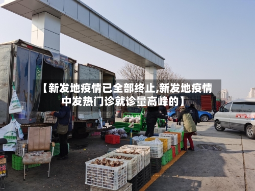 【新发地疫情已全部终止,新发地疫情中发热门诊就诊量高峰的】-第2张图片