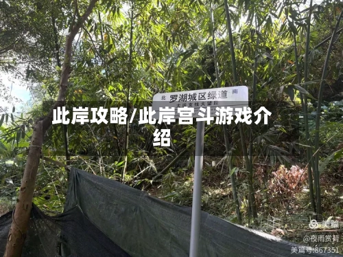 此岸攻略/此岸宫斗游戏介绍-第2张图片