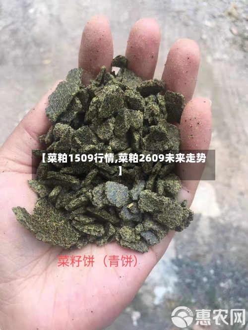 【菜粕1509行情,菜粕2609未来走势】-第3张图片