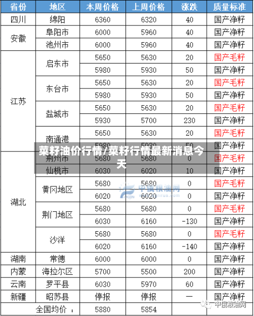 菜籽油价行情/菜籽行情最新消息今天