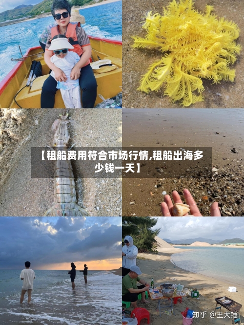 【租船费用符合市场行情,租船出海多少钱一天】