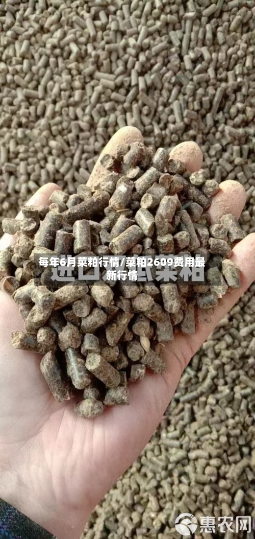 每年6月菜粕行情/菜粕2609费用最新行情-第3张图片
