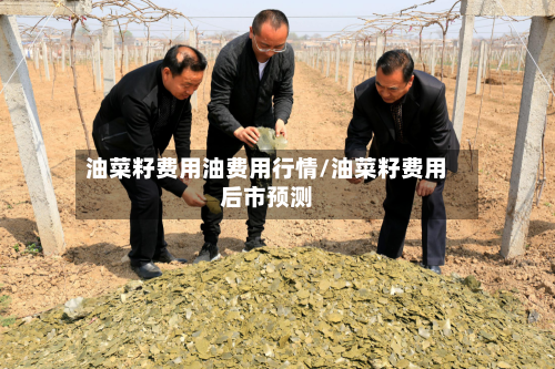 油菜籽费用油费用行情/油菜籽费用后市预测